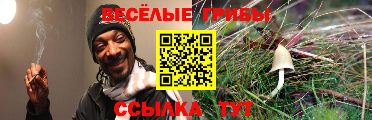Галлюциногенные грибы Magic Shrooms  Вход с VPN  Качканар 