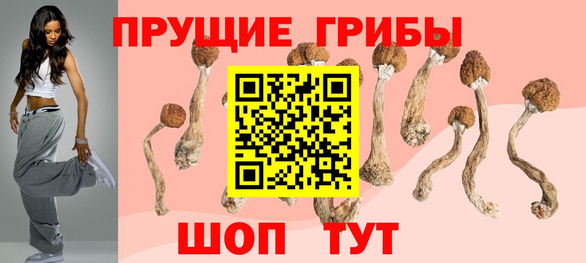 Галлюциногенные грибы Cubensis Качканар